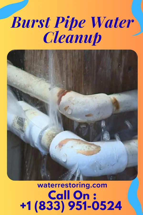 Burst Pipe Water Cleanup in Hawley, PA