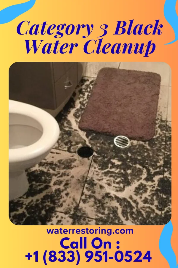 Category 3 Black Water Cleanup in Hawley, PA