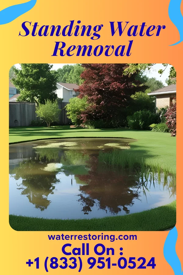 Standing Water Removal in Hawley, PA